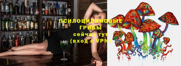 гидра Тихвин